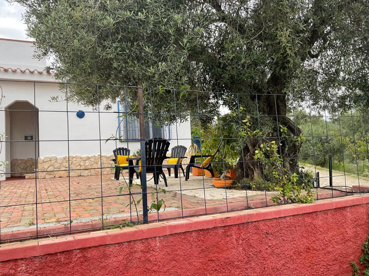 Domo Mea Villa Cardedu Buitenkant foto